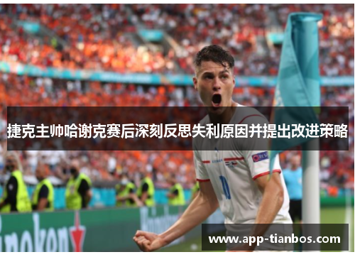 捷克主帅哈谢克赛后深刻反思失利原因并提出改进策略
